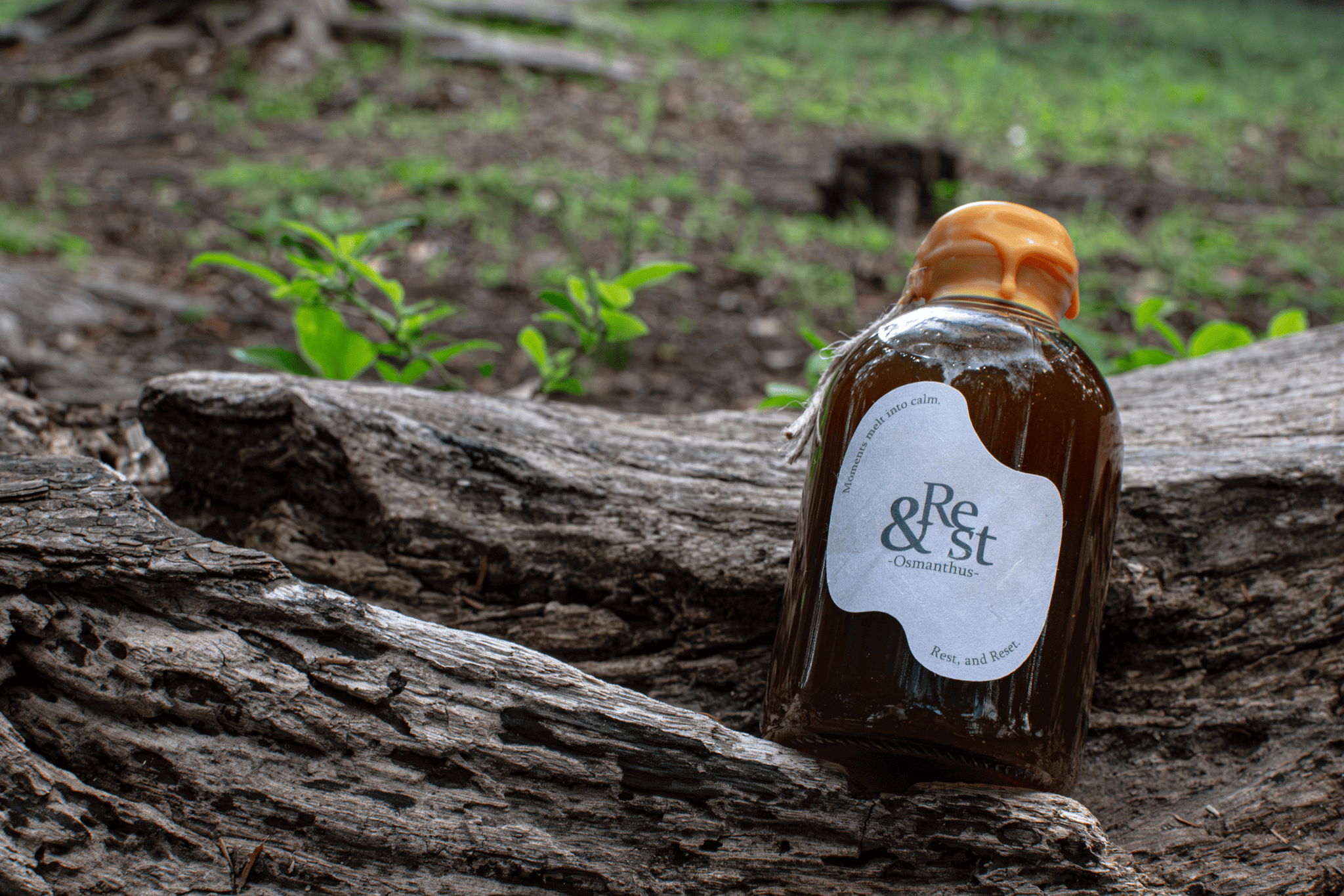 main_visual_image_a (2).png